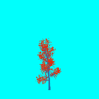 greenshift tree