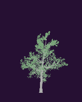 greenshift tree