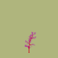 greenshift tree
