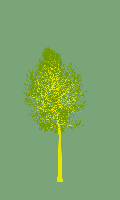 greenshift tree