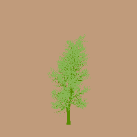 greenshift tree
