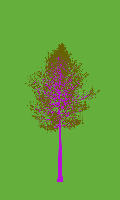 greenshift tree