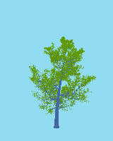 greenshift tree