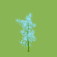 greenshift tree
