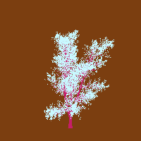 greenshift tree