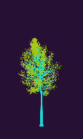 greenshift tree
