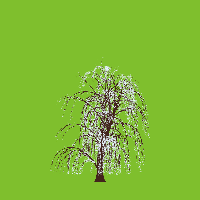 greenshift tree