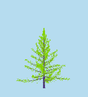 greenshift tree