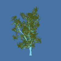 greenshift tree