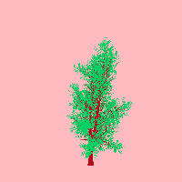 greenshift tree