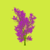 greenshift tree