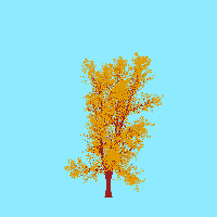 greenshift tree