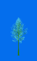 greenshift tree