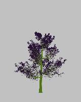 greenshift tree