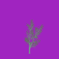 greenshift tree