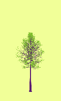 greenshift tree