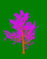 greenshift tree