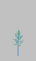 greenshift tree