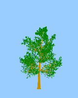 greenshift tree