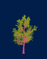 greenshift tree