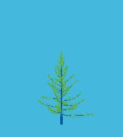 greenshift tree
