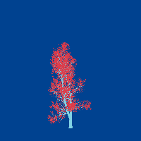 greenshift tree