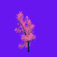 greenshift tree