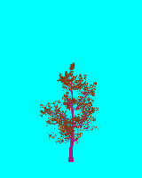 greenshift tree