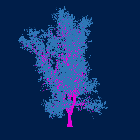 greenshift tree