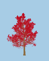 greenshift tree
