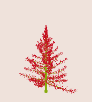 greenshift tree