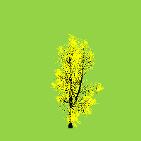 greenshift tree
