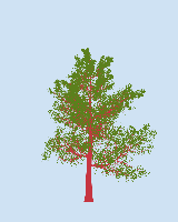 greenshift tree