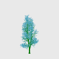 greenshift tree