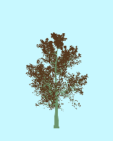 greenshift tree