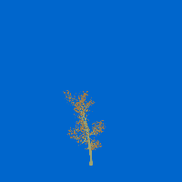 greenshift tree