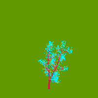 greenshift tree