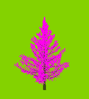 greenshift tree