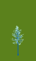 greenshift tree