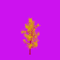 greenshift tree
