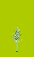 greenshift tree
