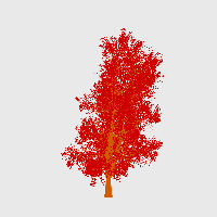 greenshift tree