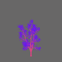greenshift tree