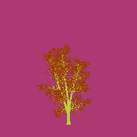 greenshift tree