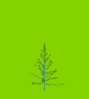 greenshift tree