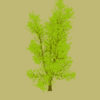 greenshift tree