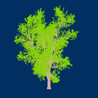 greenshift tree