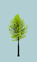 greenshift tree