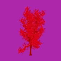greenshift tree
