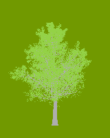 greenshift tree